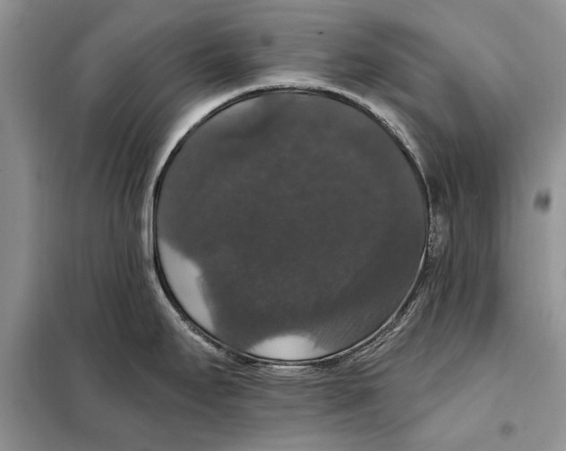 X0000098011295200804181125