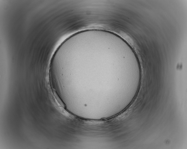 X0000098011296200804181125