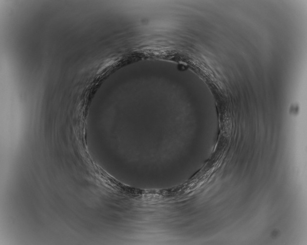 X0000098011297200804181124