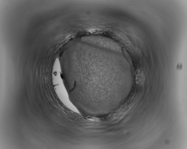 X0000098011298200804181124