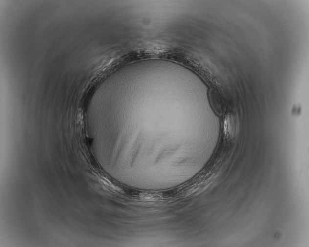 X0000098011299200804181124