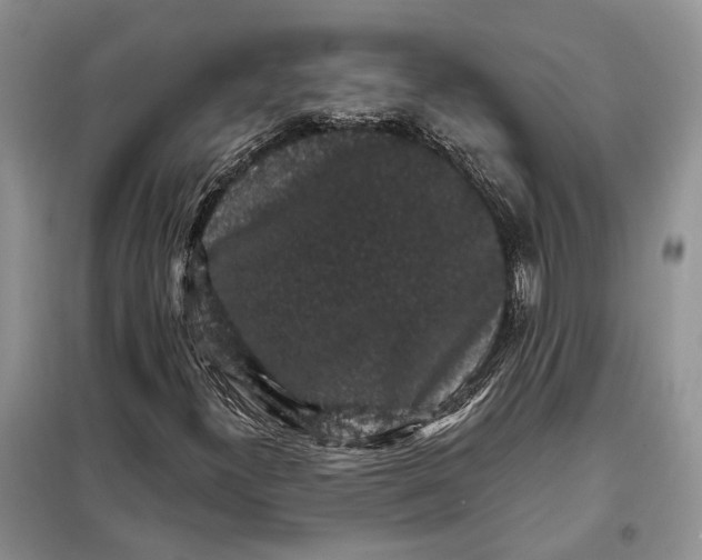 X0000098011300200804181124