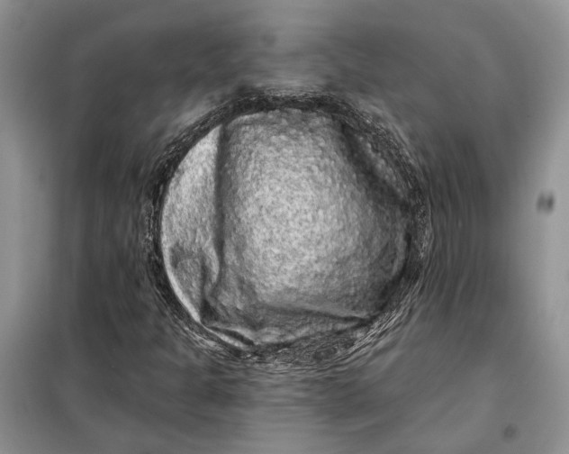 X0000098011301200804181124