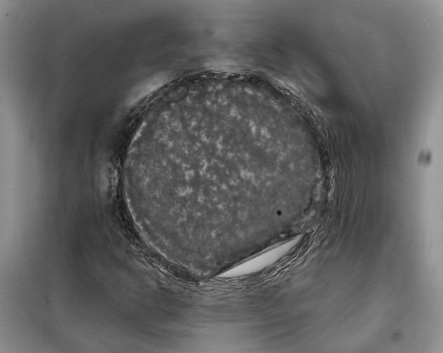 X0000098011302200804181124