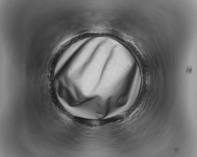 X0000098011304200804181124