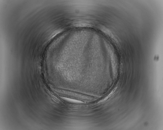 X0000098011305200804181124