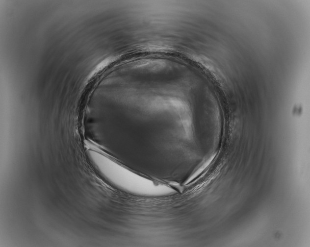 X0000098011306200804181124