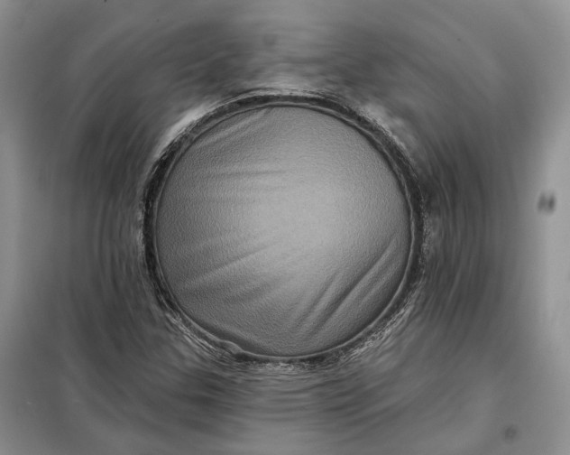 X0000098011307200804181124