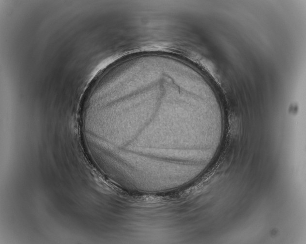 X0000098011308200804181124