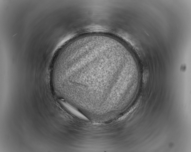 X0000098011309200804181124