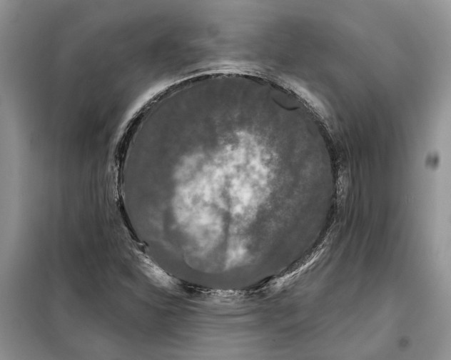 X0000098011310200804181124