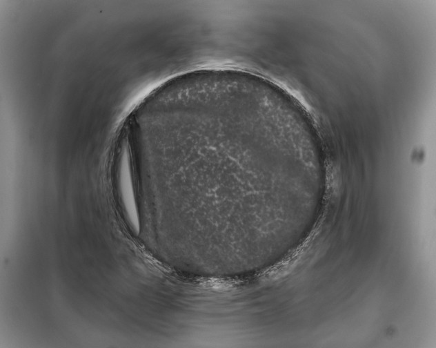 X0000098011311200804181124