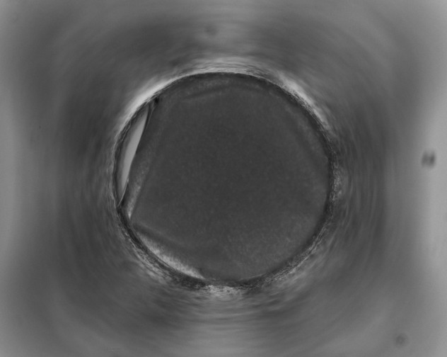 X0000098011312200804181124