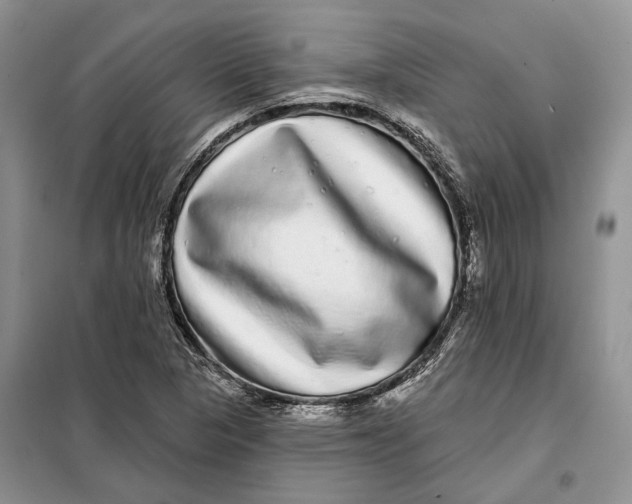 X0000098011313200804181124