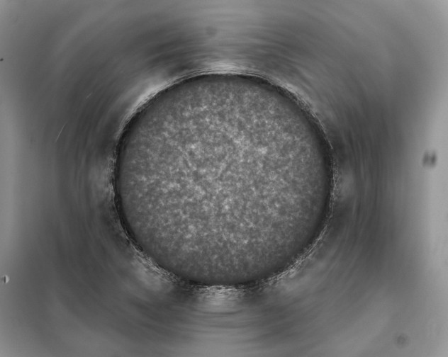 X0000098011314200804181124