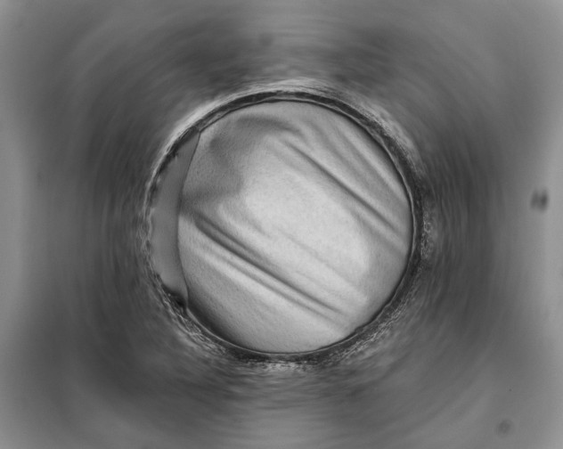 X0000098011316200804181124