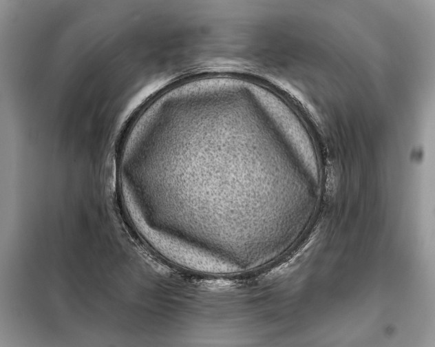 X0000098011317200804181124