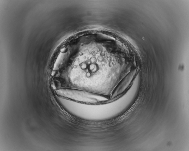 X0000098011318200804181124