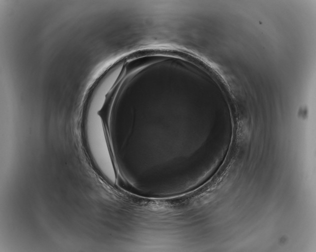 X0000098011319200804181124