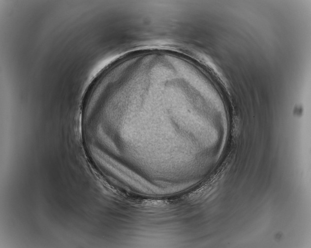 X0000098011320200804181124