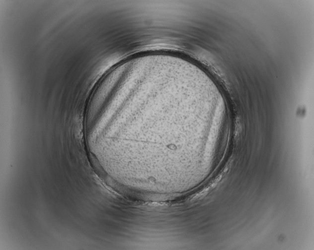 X0000098011321200804181124