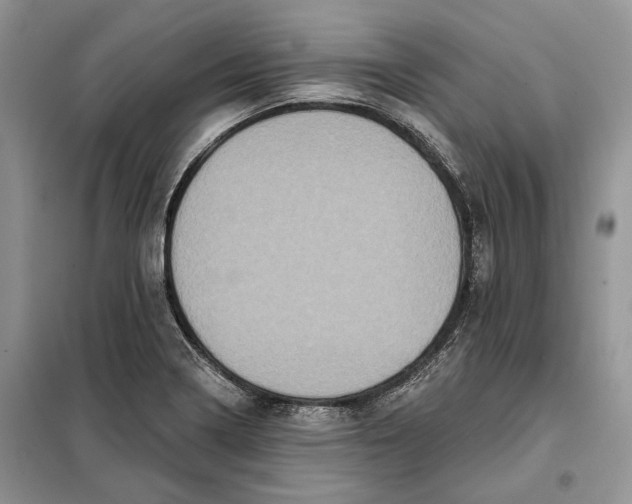 X0000098011322200804181125