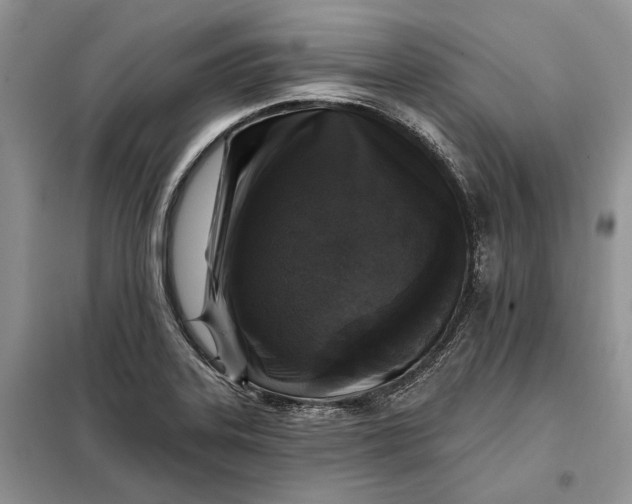 X0000098011323200804181125