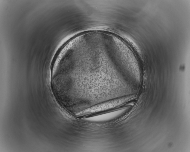 X0000098011324200804181125