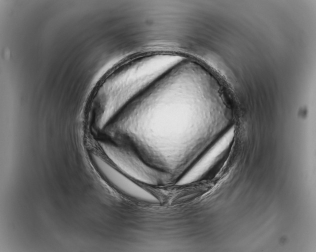 X0000098011325200804181125