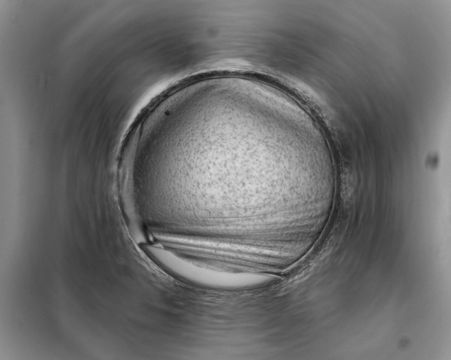 X0000098011326200804181125