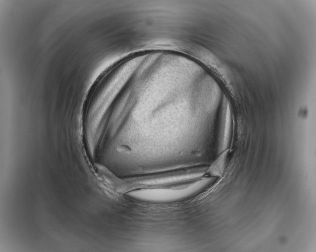 X0000098011328200804181125