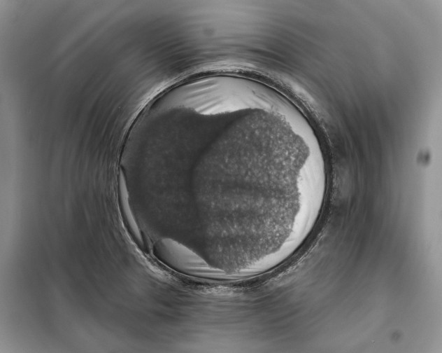 X0000098011329200804181125