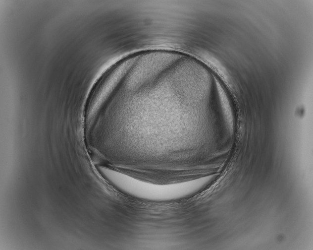 X0000098011332200804181125