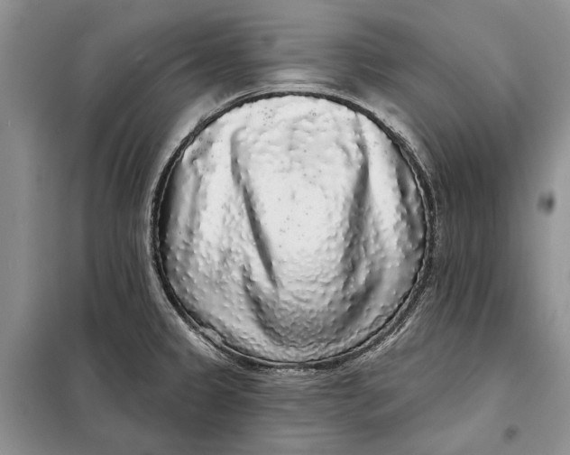 X0000098011333200804181125