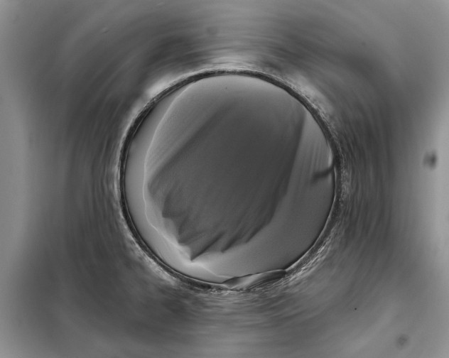 X0000098011334200804181125