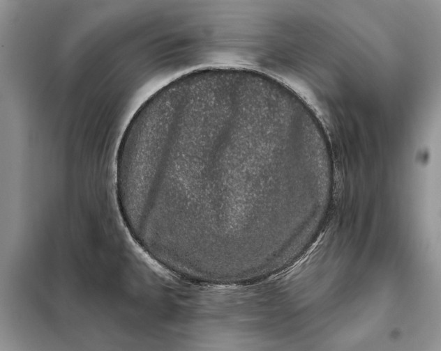 X0000098011335200804181125