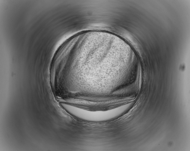 X0000098011336200804181125