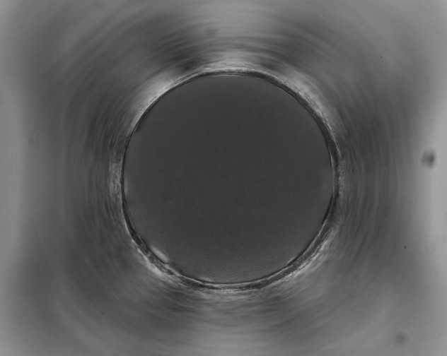 X0000098011337200804181125