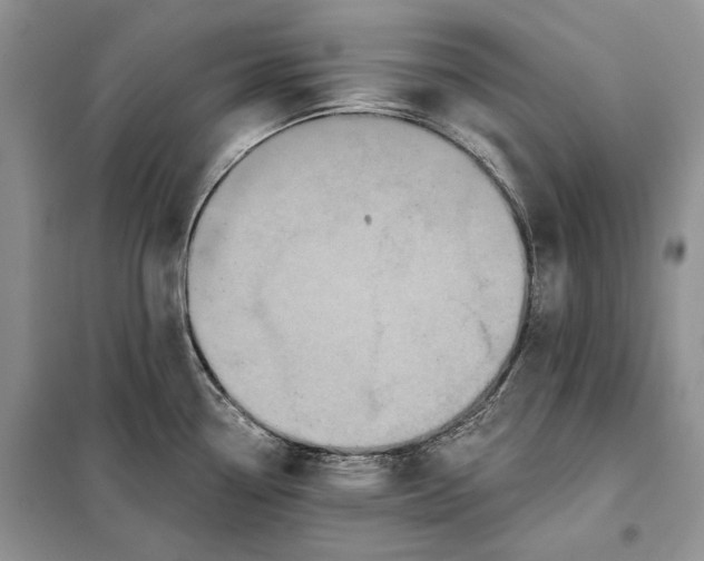 X0000098011338200804181125