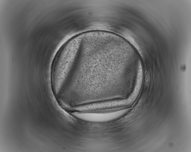 X0000098011339200804181125