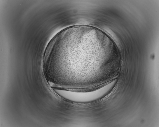 X0000098011340200804181125