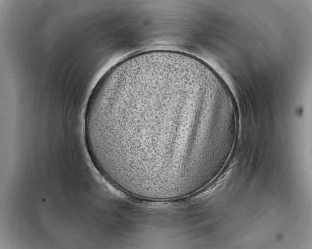 X0000098011341200804181125