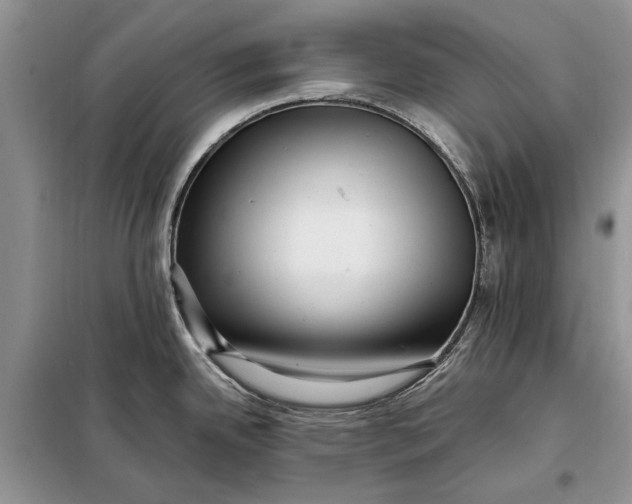 X0000098011342200804181125