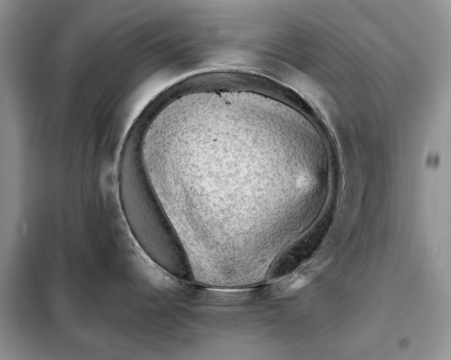 X0000098011344200804181125