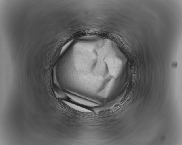 X0000098011345200804181124