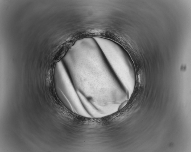 X0000098011347200804181124