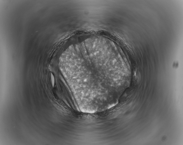 X0000098011348200804181124