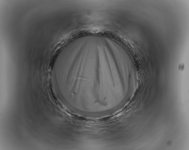 X0000098011349200804181124