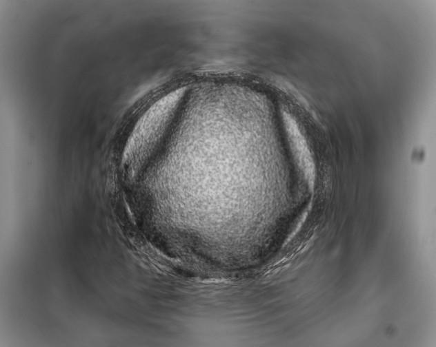 X0000098011350200804181124