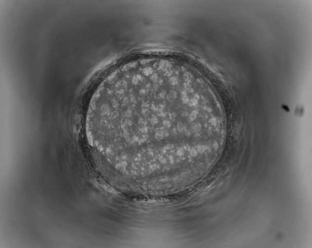 X0000098011351200804181124